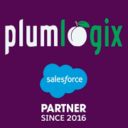 Salesforce Managed Service Provider