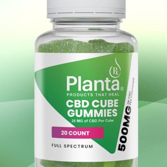 Planta Rxx