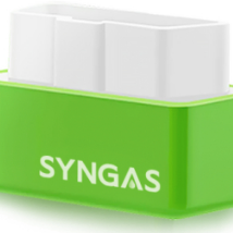 SynGas OBD Fuel Saver Germany