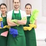 Professional  Cleaning