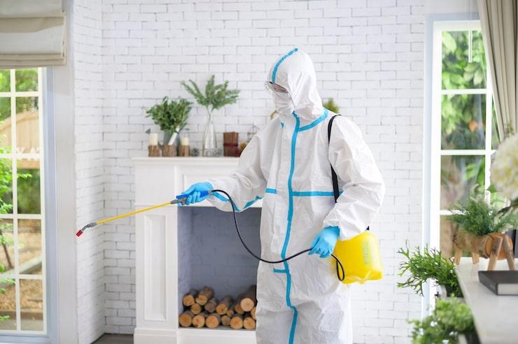 pest-control-services-in-Boise-ID