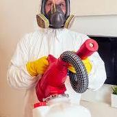 BP Pest Control