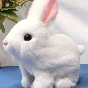Zenni Ferr