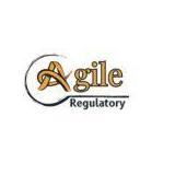 Agile Regulatory