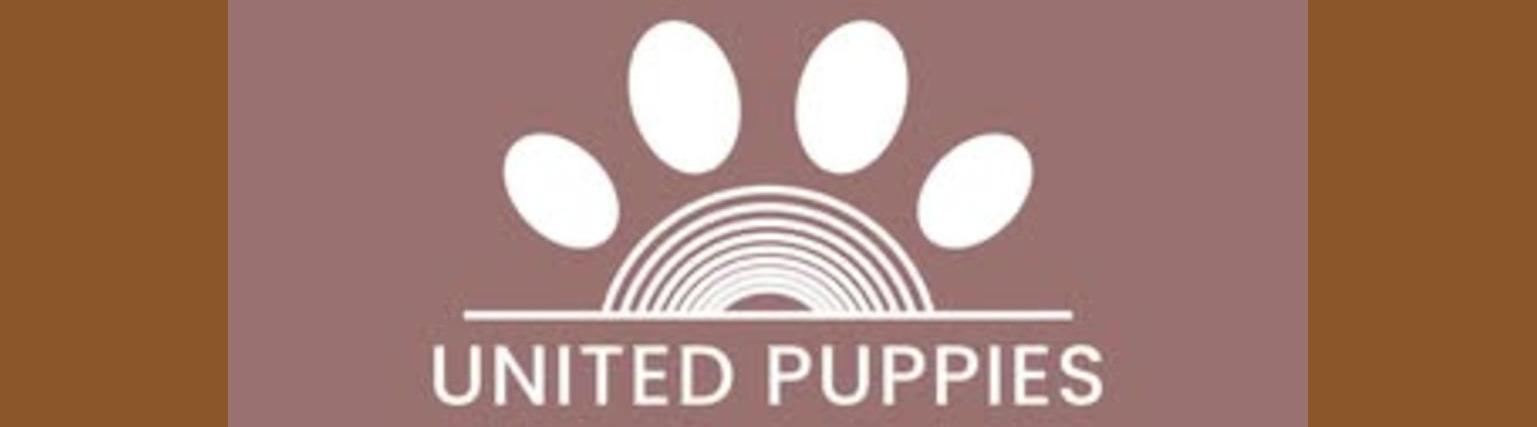 United  Puppies