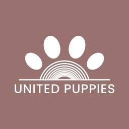 United  Puppies