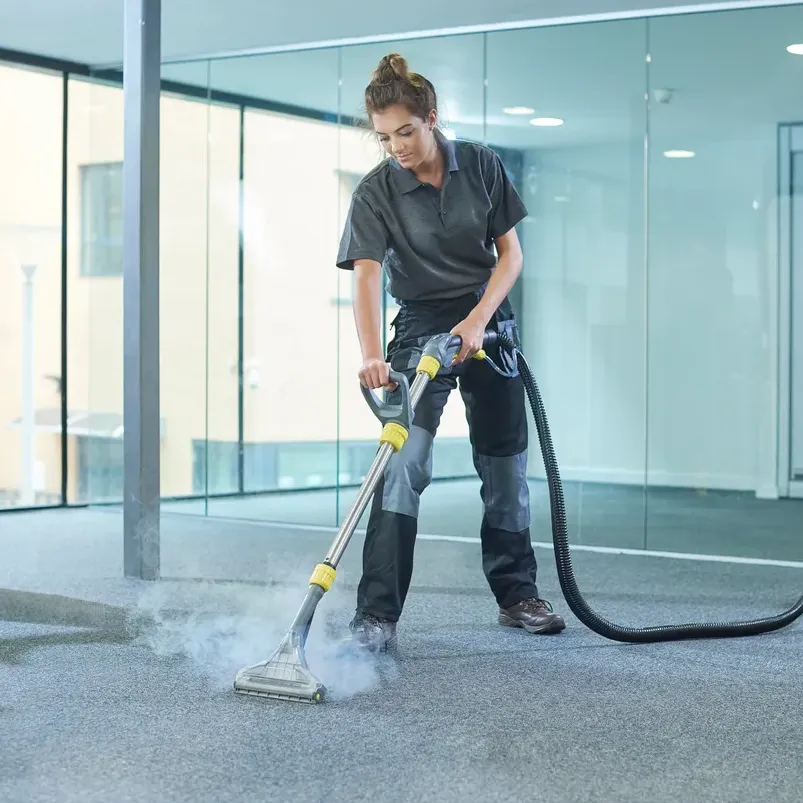 Pro Cleaning