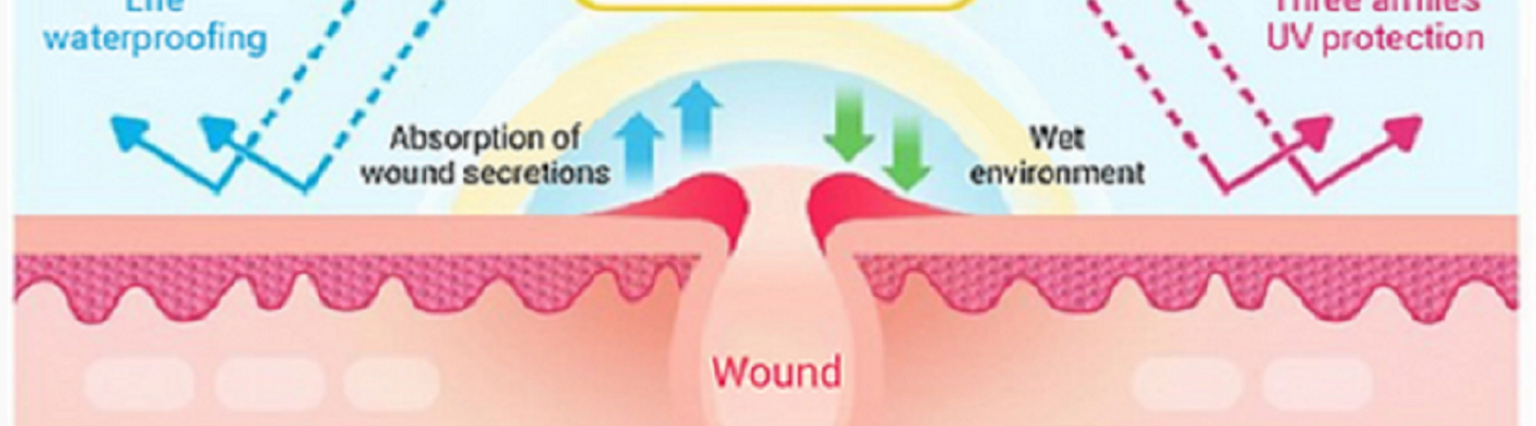 New Ymedical
