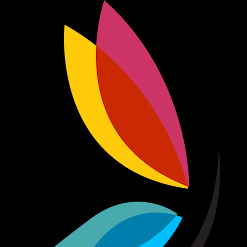 Cff Health