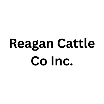 Reagan Cattle  Co Inc.