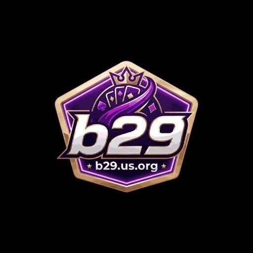 B29 us org