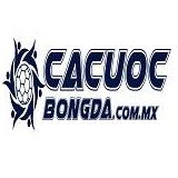 C&Aacute; CƯỢC        B&Oacute;NG Đ&Aacute;