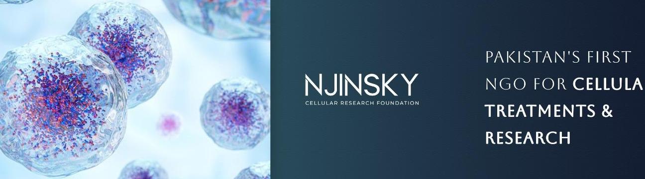 Njinsky Foundation
