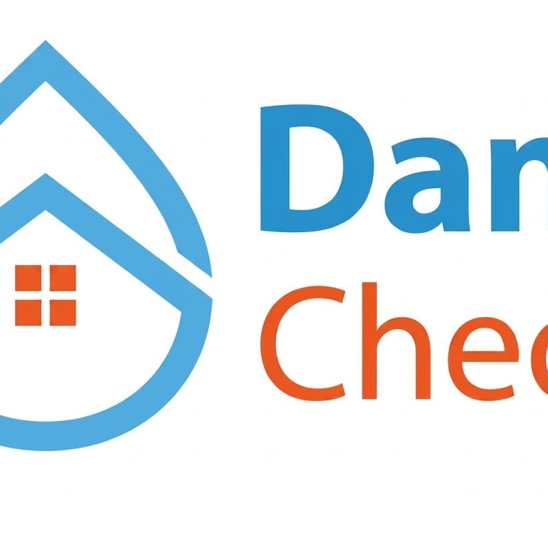 Damp Checks