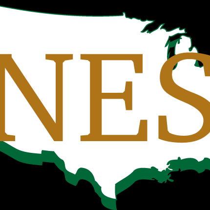 NES Building Solutions