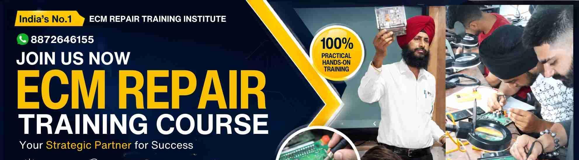 ECM Repair