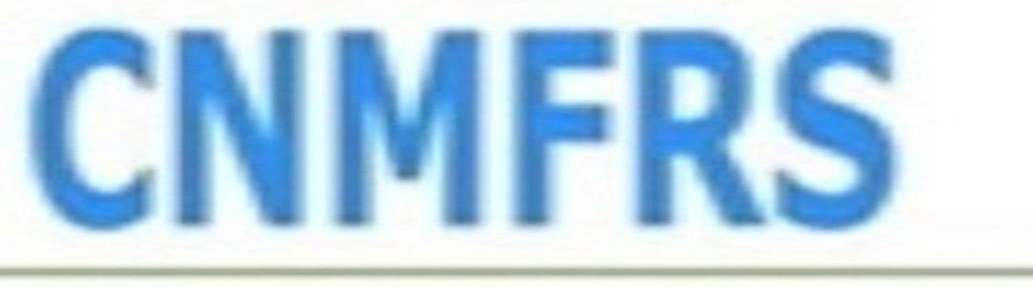 China Manufacturer