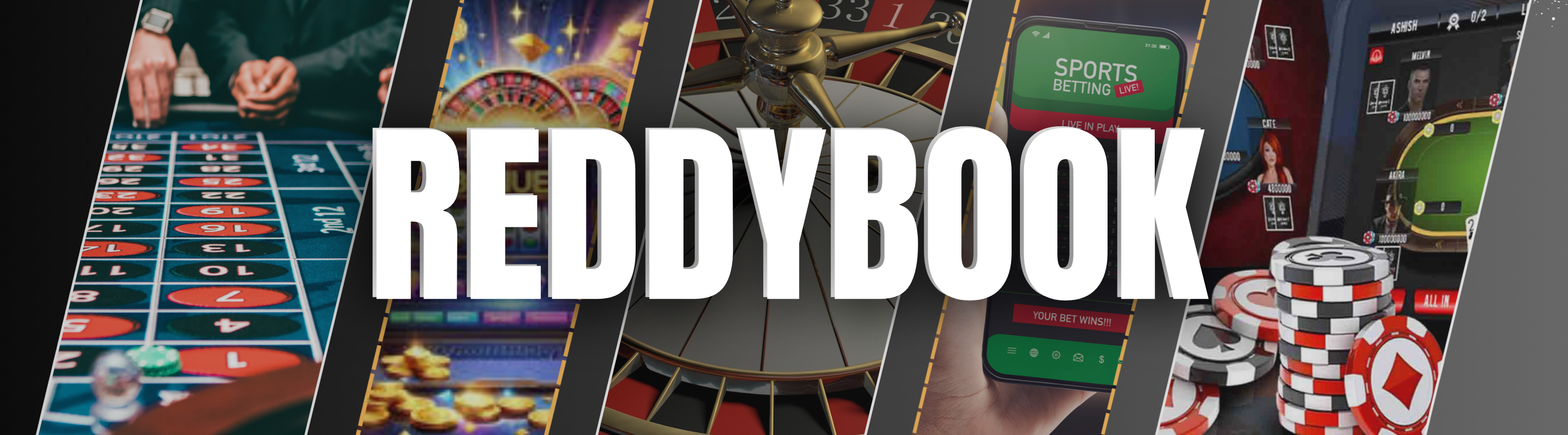 reddy book