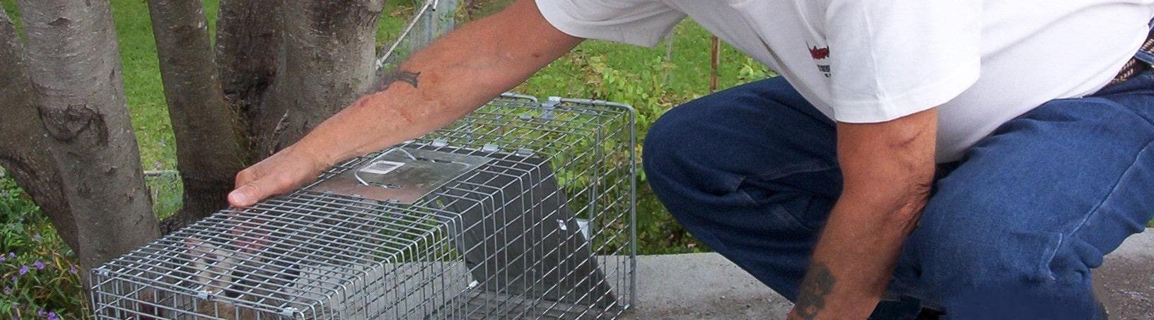 Century Pest Lockhart